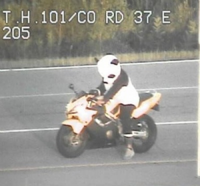Motociclista que dirigia fantasiado de panda  parado pela polcia nos EUA Motociclista que dirigia fantasiado de panda  parado pela polcia nos EUA (Foto: Minesotta State Patrol/Twitter) 